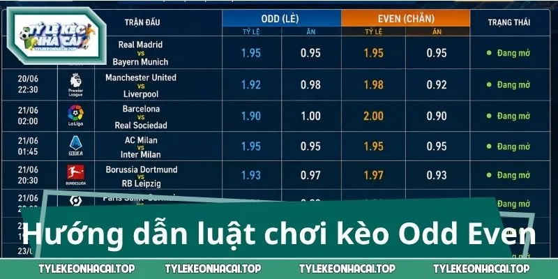 Hướng dẫn luật chơi kèo Odd Even