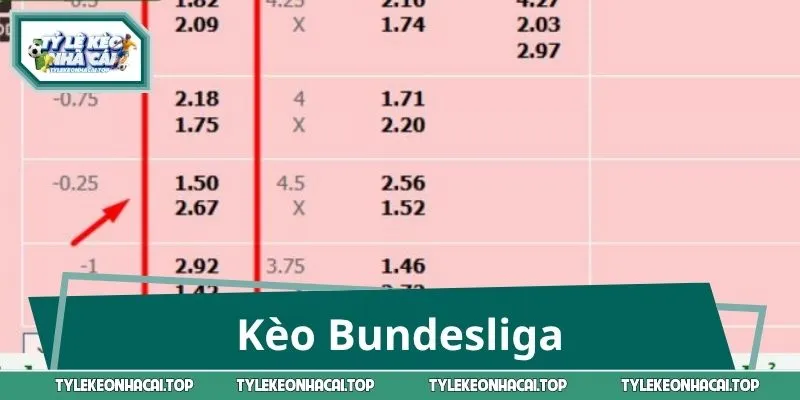 Kèo Bundesliga: Bóc Tách Thế Trận, Chốt Cửa Đầy Uy Lực 