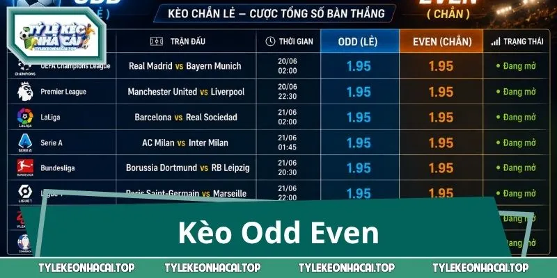 Kèo Odd Even & Công Thức Bắt Lẻ Chẵn Cho Người Mới