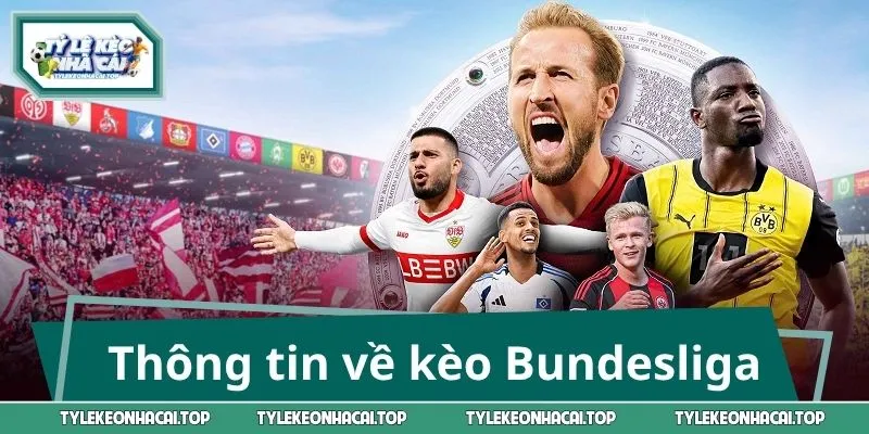 Thông tin sơ lược về kèo cược Bundesliga trong bóng đá