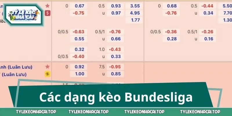 Tổng hợp các dạng kèo Bundesliga